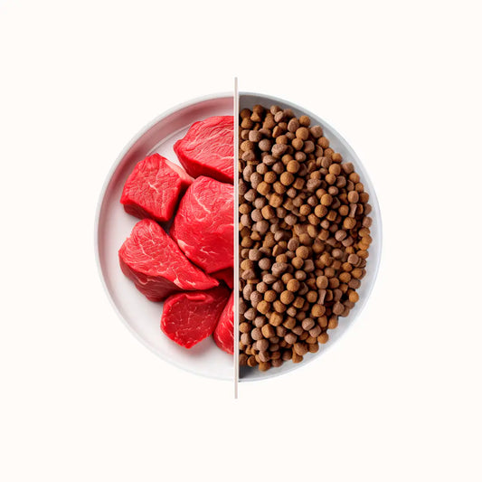 Dagel Gatto Sterilizzato Alfa Cats Manzo 20kg